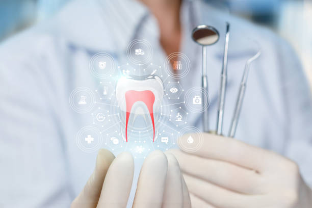 Trusted Pleasant Prairie, WI  Holistic Dental Services Experts